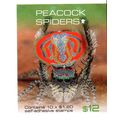 AUSTRALIA: 2023, PEACOCK SPIDERS, BOOKLET OF 10...
