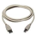 3 ft. TechCraft USB 2.0 Cable - A to B - Beige