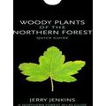 Woody Plants Of The Northern Forest