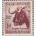 SOUTH AFRICA, MAMMAL, Blue wildebeest, brown-vi...