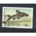ZAMBIA 1983 FISH 35N LARGE SPOTTED SQUEAKER USED
