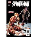 Amazing Spider-Man (Vol 2) # 516 VFN MODERN AGE...