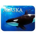 Alaska Fridge Magnet with Swimming Orca