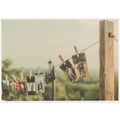 Washing Line Of Old Family Photo s Bizarre Germ...