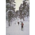 Glen Tanar Scottish Ski Slopes Skiing Postcard