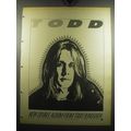 1974 Todd Rundgren Todd Album Advertisement
