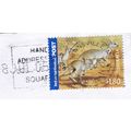 Townsville MO QLD postmark Australia 2005 on Re...