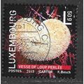 LUXEMBOURG 2013 PUFFBALL FUNGI MUSHROOM 50g RAT...