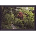 THE LOST GARDENS OF HELIGAN -THE JUNGLE BOARDWA...