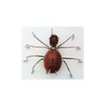 Brown Gold Stone Spider Stainless Wire Wrap Pin...