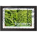 FRA 2008 (55c) 'HOLIDAYS - PEA'S' FINE USED (EB...