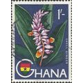 GHANA, FLOWER, Shell ginger, Alpinia zerumbet, ...