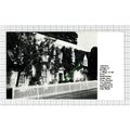 C7970) Roydon Essex - 1967 Cutting