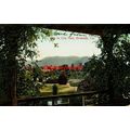City Park, Riverside, California, USA, Postcard...