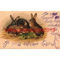 Rabbits Eat Lettuce, Early French Postcard