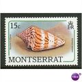 Montserrat stamps 1988 - SG 759 - Seashells Soz...