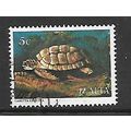 MALTA 1979 MARINE LIFE 5c LOGGERHEAD TURTLE SG6...