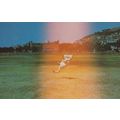 Catch From Heaven 1970s Rare Cricket Photograph...
