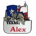 Texas Souvenir Fridge Magnet With The Name Alex