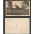 Germany Postcard Walsrode, Die Heide Bei Walsro...