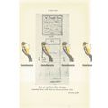 Nag's Head Tavern Plan, Leadenhall Street, 1745...
