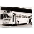 Black & White Photograph of Bristol Omnibus Co....