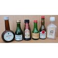 Collectable miniature bottles (empty) collectio...