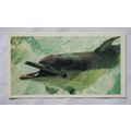 1988 Players Doncella The Living Ocean No. 29 D...