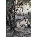 Lumiere et Feerie de la Niege France Postcard u...