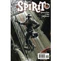 Spirit (DC Comics Vol 1) # 010 NM MODERN AGE CO...