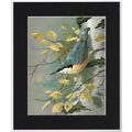 Nuthatch Mounted Bird Picture Print Black 10 in...