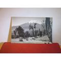 OSORNO VOLCANO, CHILE unused postcard =