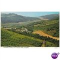 Dolgellau - Mawddach Estuary Precipice Walk 197...