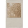 Antique GB Postcard 1915 - woodland and water s...