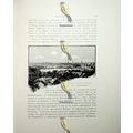 Entrance To Port Of Stockholm (2), Sweden, Book...