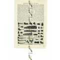 Indian Pipes From North West America, Book Illu...