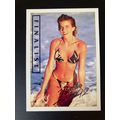 Portfolio '92 International Swimsuit Base tradi...