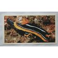1988 Players Doncella The Living Ocean No. 8 Py...