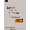 Williamson, P: Death And The Afterlife