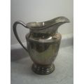Pitcher Craft USA 0211 ESPN