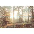 D100810 Cheshire. Delamere Forest. Noel Tatt. L...