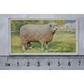 1916 Players British Livestock 22 The lincoln L...