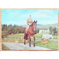 POSTCARD: HM QUEEN ELIZABETH II - RIDING AT BAL...