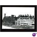 Hampshire BASINGSTOKE-ALTON Light Railway Postc...