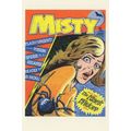 The Black Widow Poisonous Spider Misty 1970s Co...