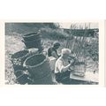 The Nostalgia Postcard 1890's - 1950's - Basket...