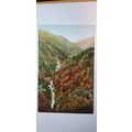 VALLEY SCENE 1933 - 1945 (417)