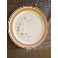 10 6/8" Dinner Plate - Dawn by water Colors Hea...