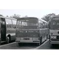 Black & White Photograph of Wivey Coaches (Walk...