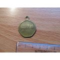 Pet Safe Dog Tag Token (e584)